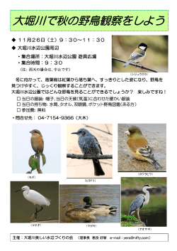 「大堀川で秋の野鳥観察をしよう」を開催します。