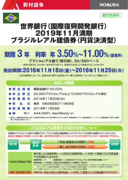 （国際復興開発銀行）2019年11月満期 ブラジルレアル建債券