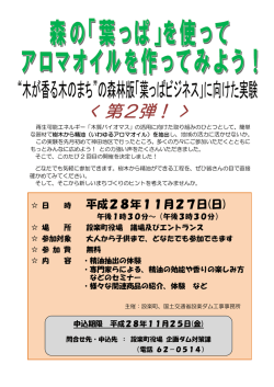 葉っぱビジネスチラシデータ [148KB pdfファイル]