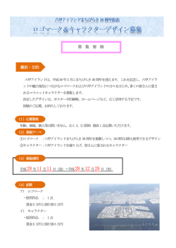 募集要領（PDF形式：319KB）