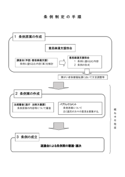 条 例 制 定 の 手 順