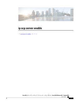 ip scp server enable