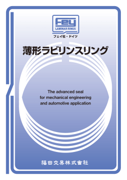 薄形ラビリンスリング