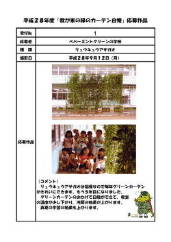 ペパーミントグリーンの学校
