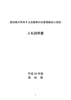 H28 入札説明書