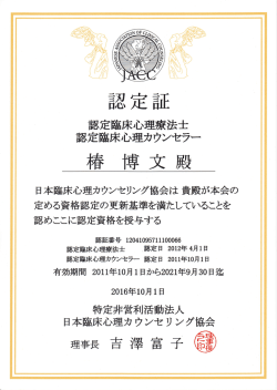 認証番号12041095711100066