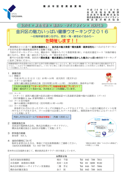 記者発表資料（PDF形式 462KB）