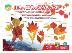 学研の 図鑑くらぶ イイギリ ツタ イチョウ ナンキンハゼ ムクロジ
