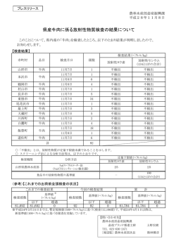 プレスリリース資料 (PDF documentファイル サイズ： 176Kb)