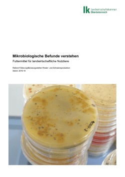 Mikrobiologische Befunde verstehen