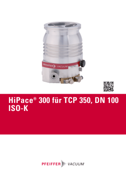 HiPace&reg; 300 f&uuml;r TCP 350, DN 100 ISO-K