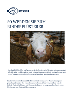 so werden sie zum rinderflüsterer
