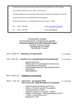 Intensivkurs der urogyn&auml;kologischen Sonographie mit