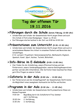 Hinweise zur Organisation und zum Ablauf - Gesamtschule