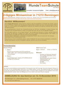 HundeTeamSchule - Hundeschule DogMate