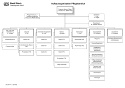 Organigramm Bereich Pflege Stadtspital Waid (PDF, 1 Seite, 40 KB)