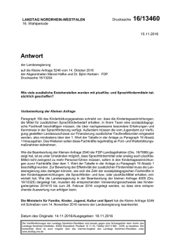 Drucksache 16/13460