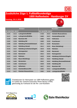 Hamburger SV - TSG 1899 Hoffenheim