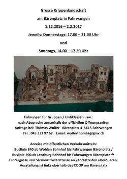 Grosse Krippenlandschaft 2016-2017