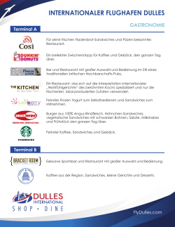 internationaler flughafen dulles