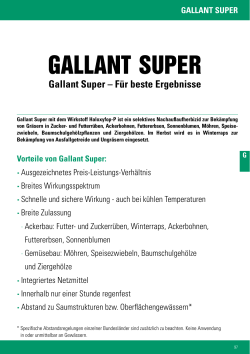 Gallant Super