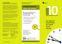 Haarer Zehner Brosch&uuml;re