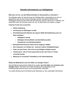 Informationsblatt für Geflügelhalter