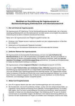 Merkblatt Durchfuehrung Ingenieurpraxis