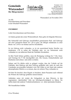 Infobrief Winterreinigung 2016