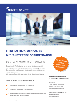 IT-InfrasTrukTuranalyse mIT IT-neTzwerk