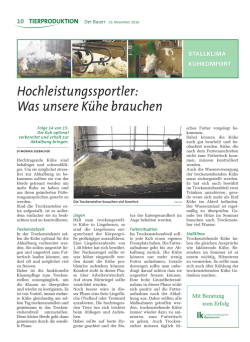 Hochleistungssportler - Was unsere K&uuml;he brauchen! Die Kuh