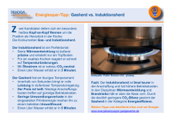 Energiespar-Tipp: Gasherd vs. Induktionsherd