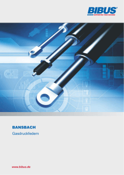 Bansbach - Industrial gas springs