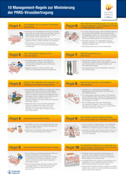 10 Management-Regeln zur Minimierung der PRRS