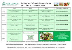 Speiseplan Cafeteria Germersheim 14.11.16 - 20.11.2016
