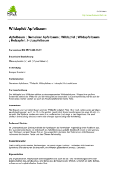 Wildapfel/ Apfelbaum