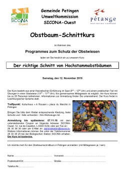 Obstbaum-Schnittkurs in Petingen