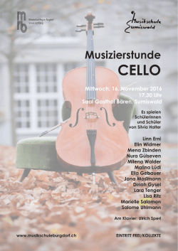 Musizierstunde - Musikschule Sumiswald