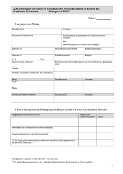 in das Berufsvorbereitungsjahr Sprache