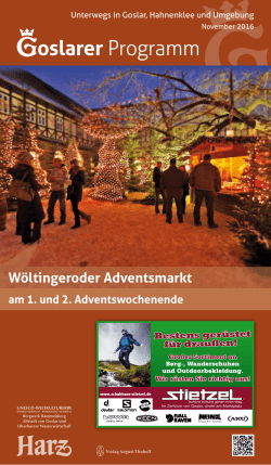 Goslarer Programm November 2016