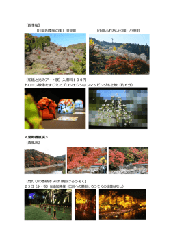 ＜小原四季桜＞ 【四季桜】 【四季桜】 （川見四季桜の里）川見町 （小原
