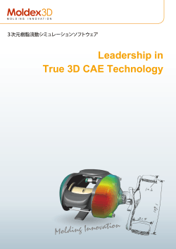 Leadership in True 3D CAE Technology