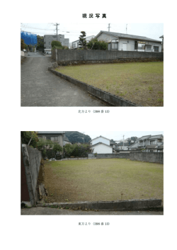 写真 [PDFファイル／222KB]