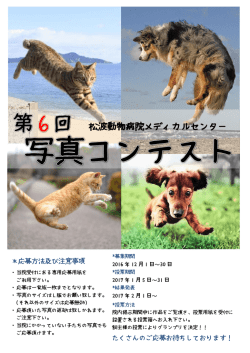 詳細はこちら - 松波動物病院メディカルセンター