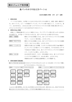 食パンのカビの生え方パート4