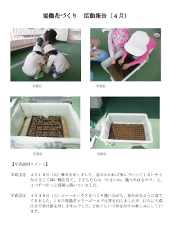 香取保育園 4月 活動報告（PDF）