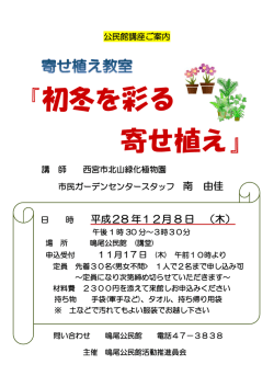 初冬を彩る 寄せ植え