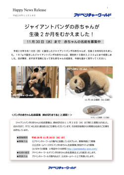 リリース全文