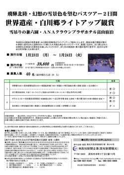 世界遺産・白川郷ライトアップ観賞
