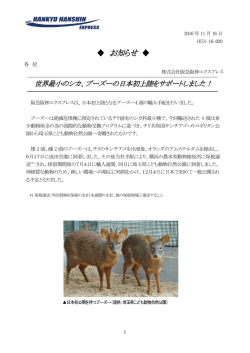 プーズーの日本初上陸をサポートしました！